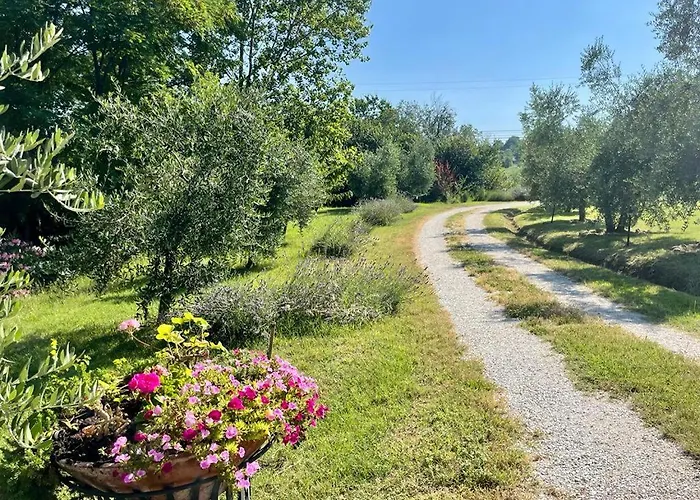 Rosaverde Oda ve Kahvaltı 3*