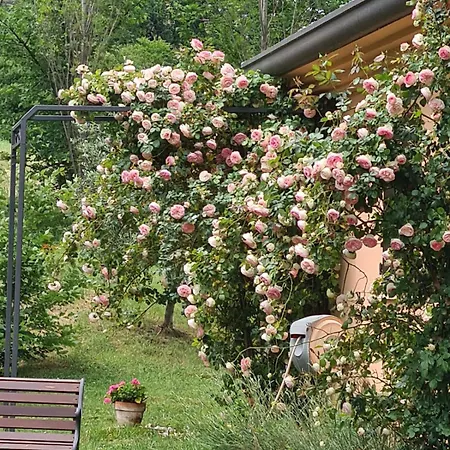 Rosaverde Mulazzano